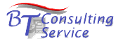 BT Consulting Service
